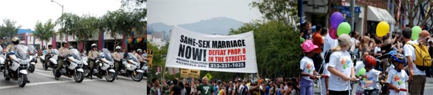 Same-Sex Marriage POLP